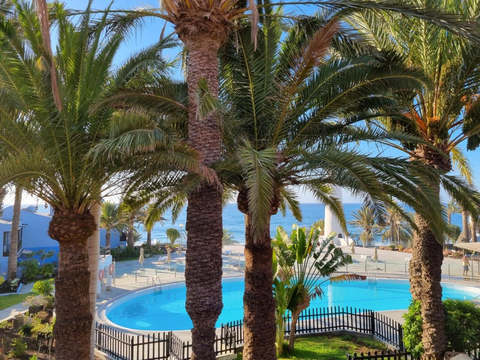 Top 2 Sun Club Bungalow Terraza Maspalomas  Exterior foto