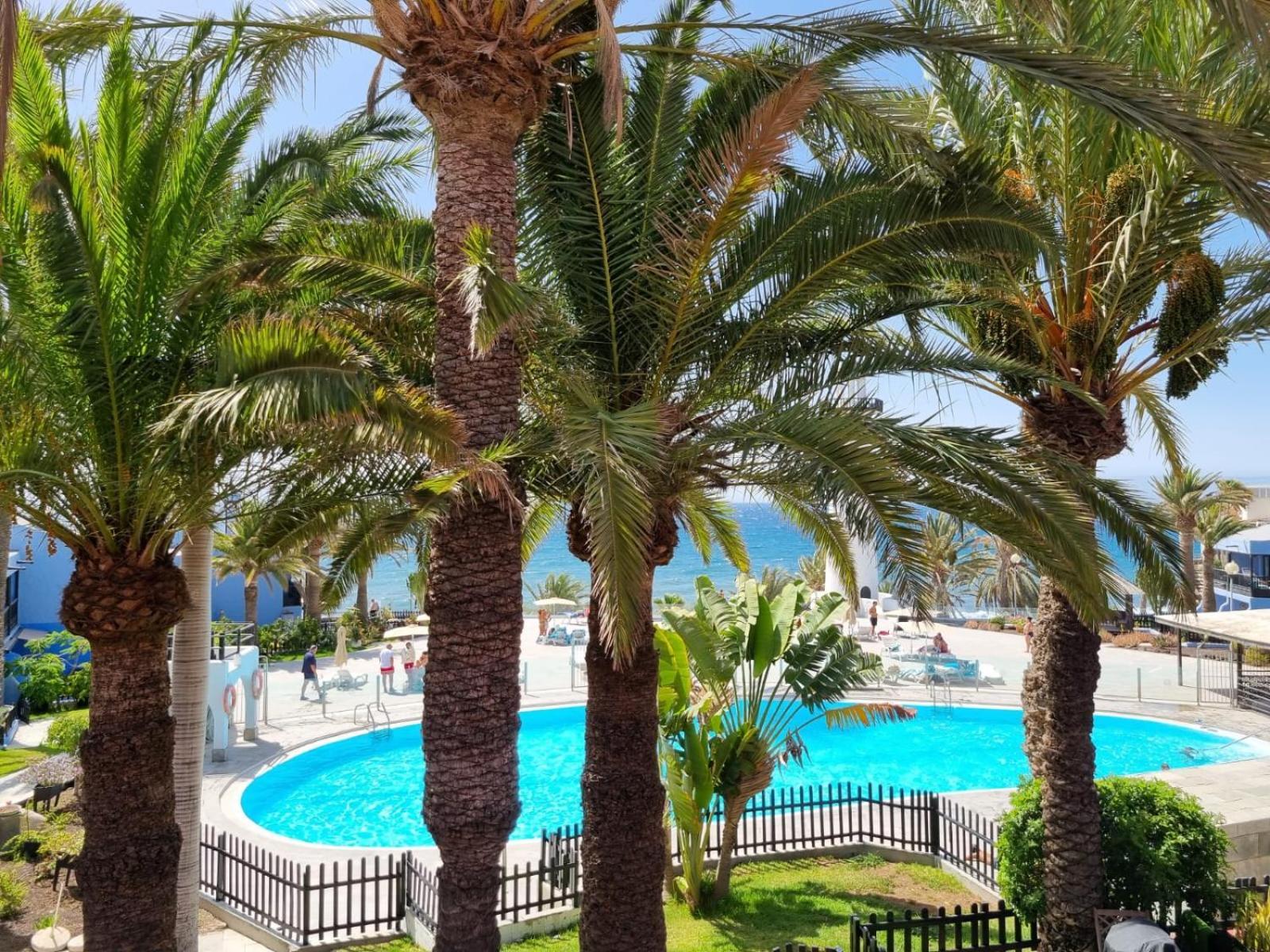 Top 2 Sun Club Bungalow Terraza Maspalomas  Exterior foto
